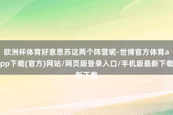 欧洲杯体育好意思苏这两个阵营呢-世博官方体育app下载(官方)网站/网页版登录入口/手机版最新下载