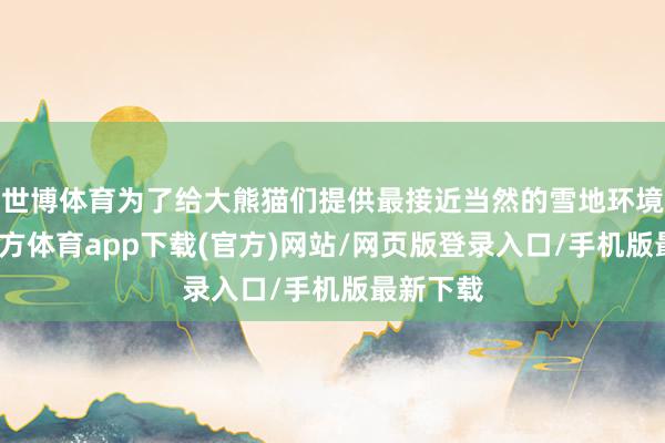世博体育为了给大熊猫们提供最接近当然的雪地环境-世博官方体育app下载(官方)网站/网页版登录入口/手机版最新下载